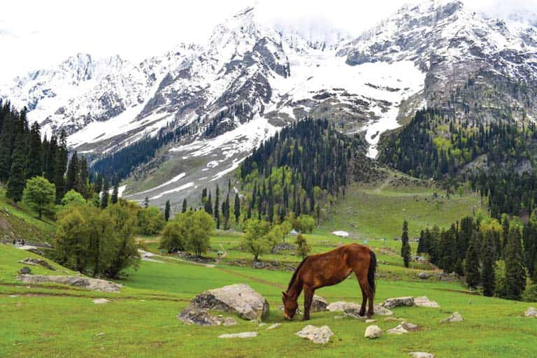 OFFBEAT KASHMIR