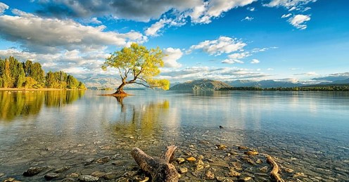 BEST OF NEW ZEALAND