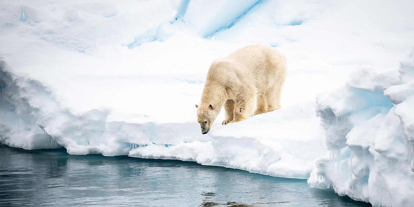 NORTH POLE SVALBARD